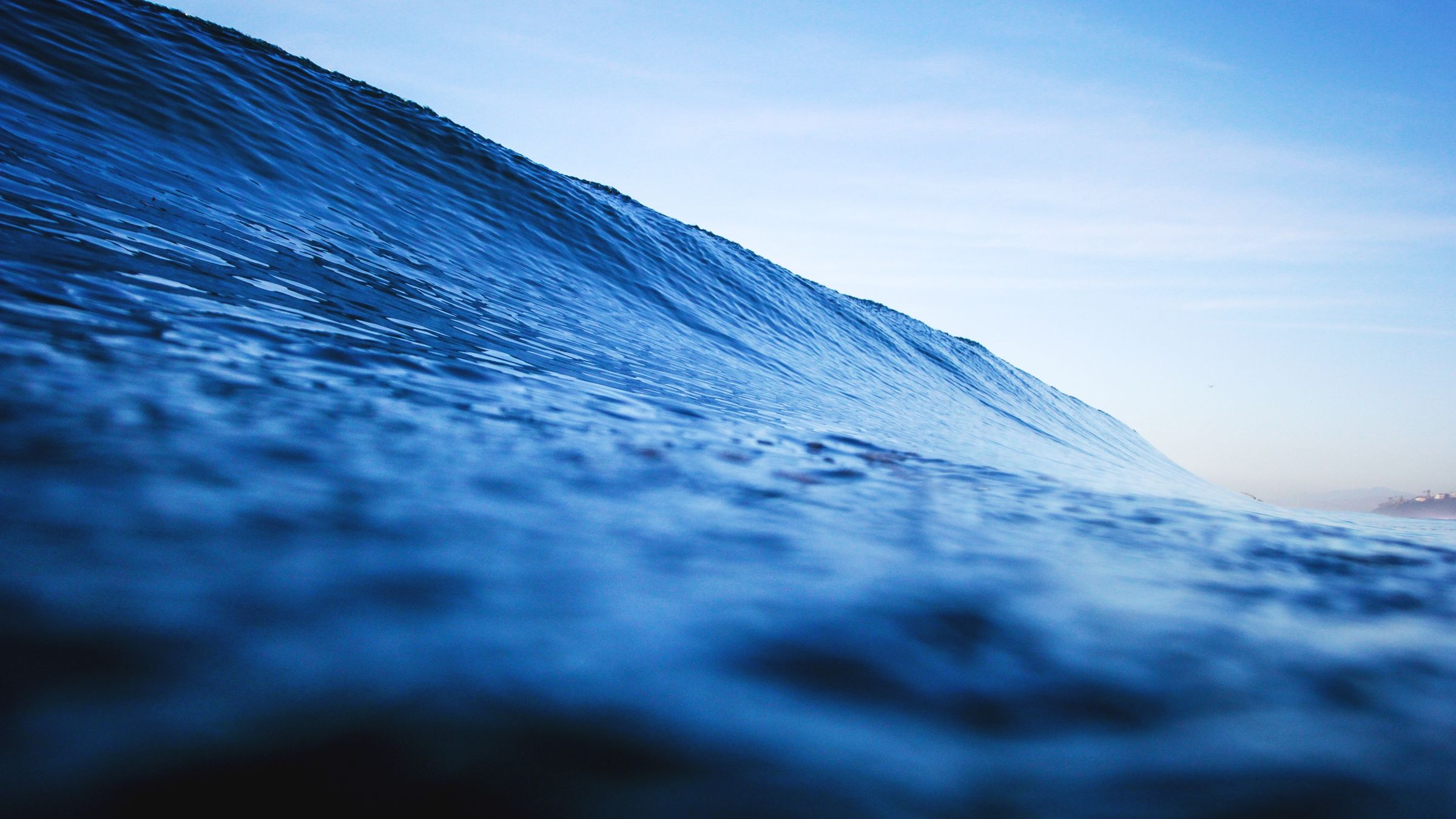 A clean blue wave standing up off a point at first light